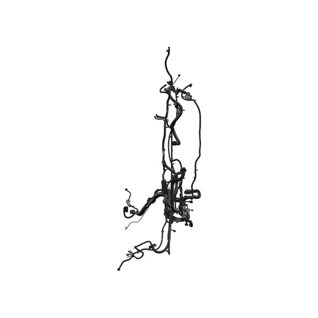 Alternate Image