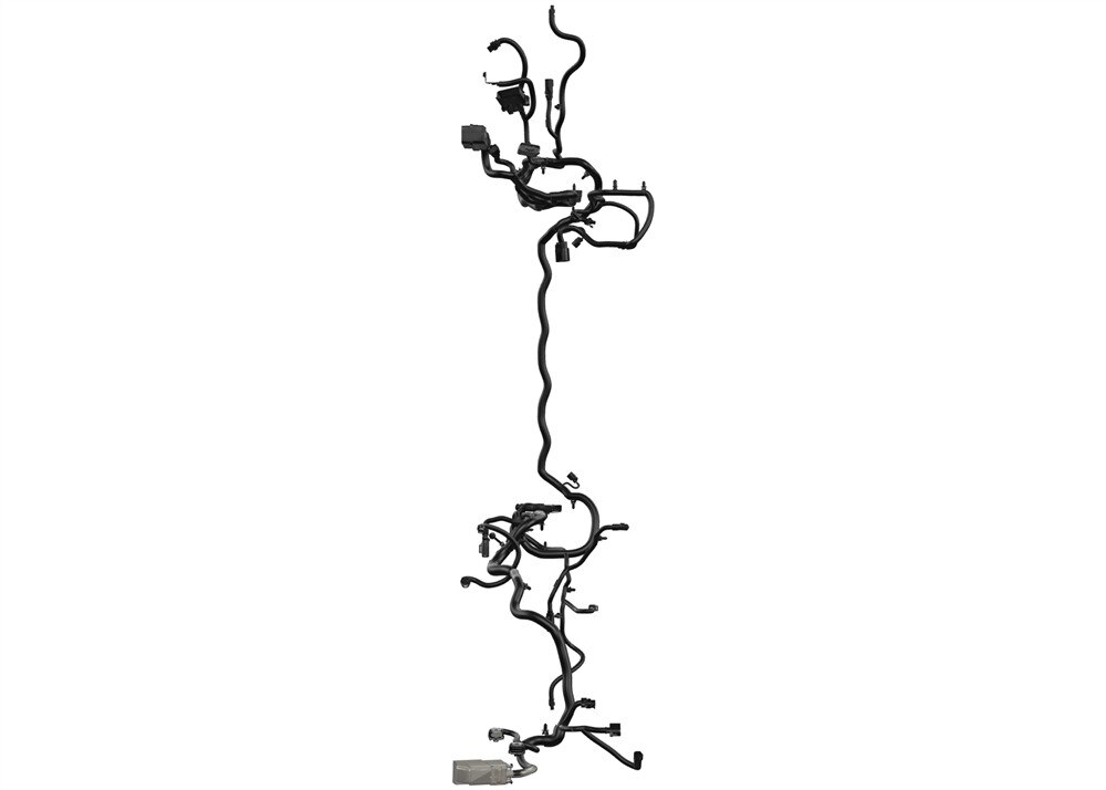 Alternate Image