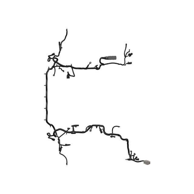Alternate Image