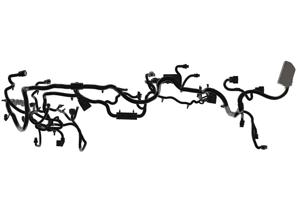 Alternate Image