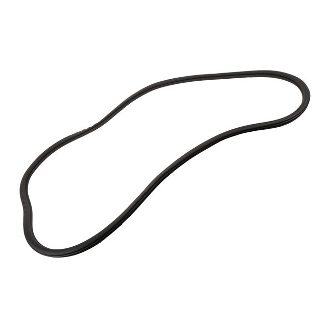 GM Genuine Parts Rear Side Door Weatherstrip