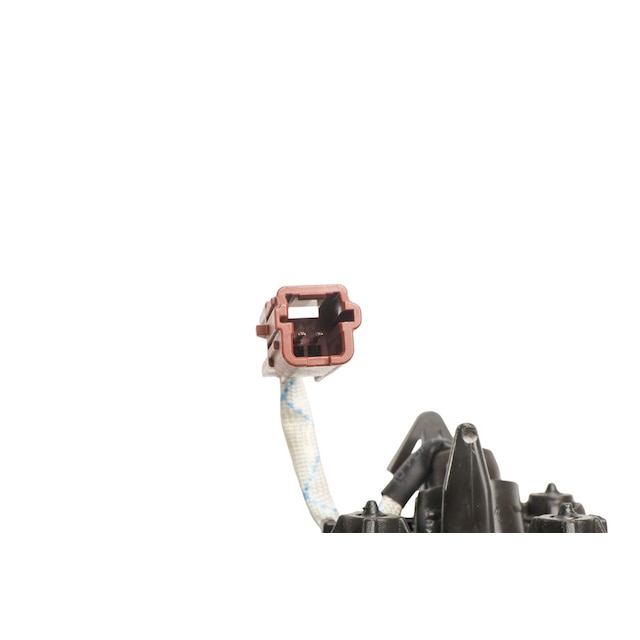 Alternate Image