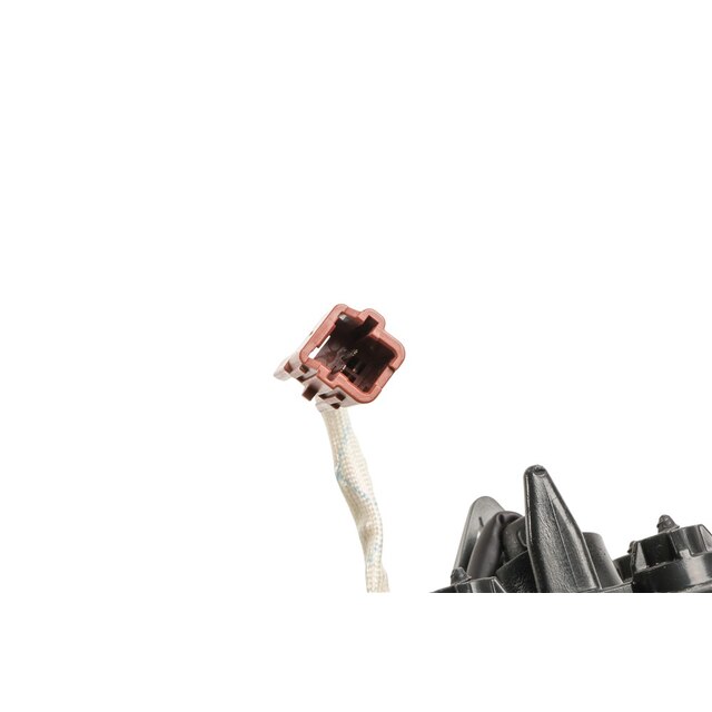 Alternate Image