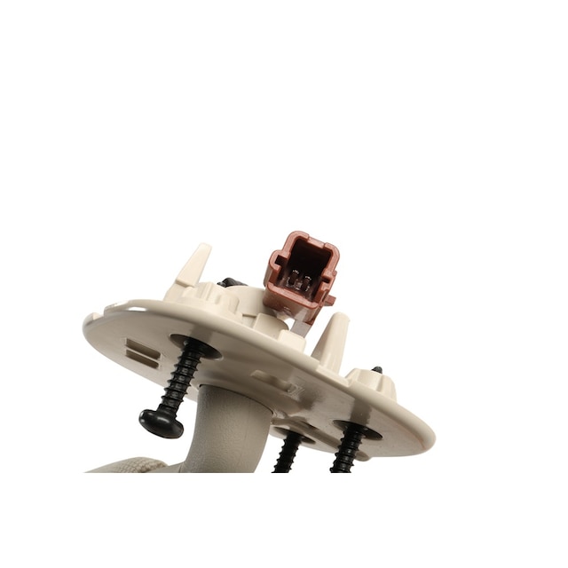 Alternate Image
