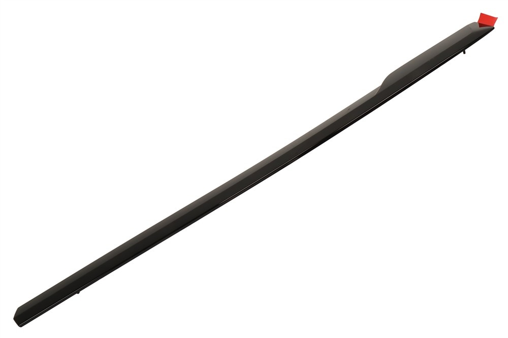 GM Genuine Parts Black Front Passenger Side Door Molding