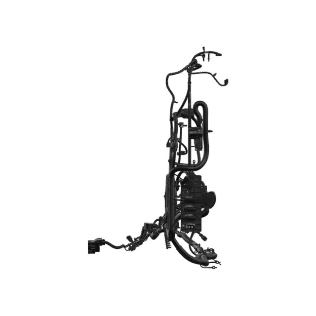 Alternate Image