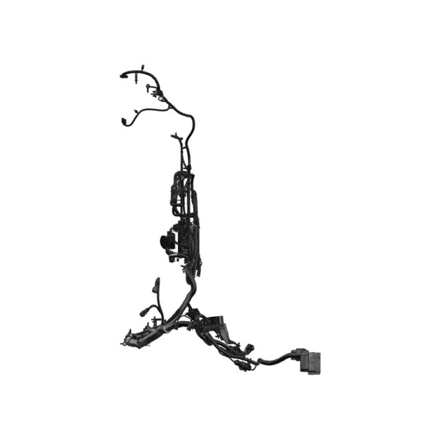Alternate Image