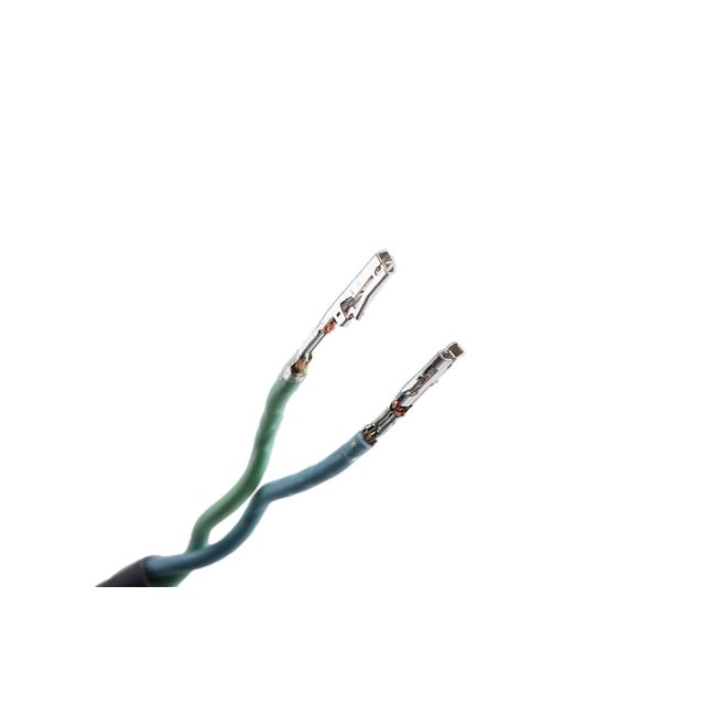 Alternate Image