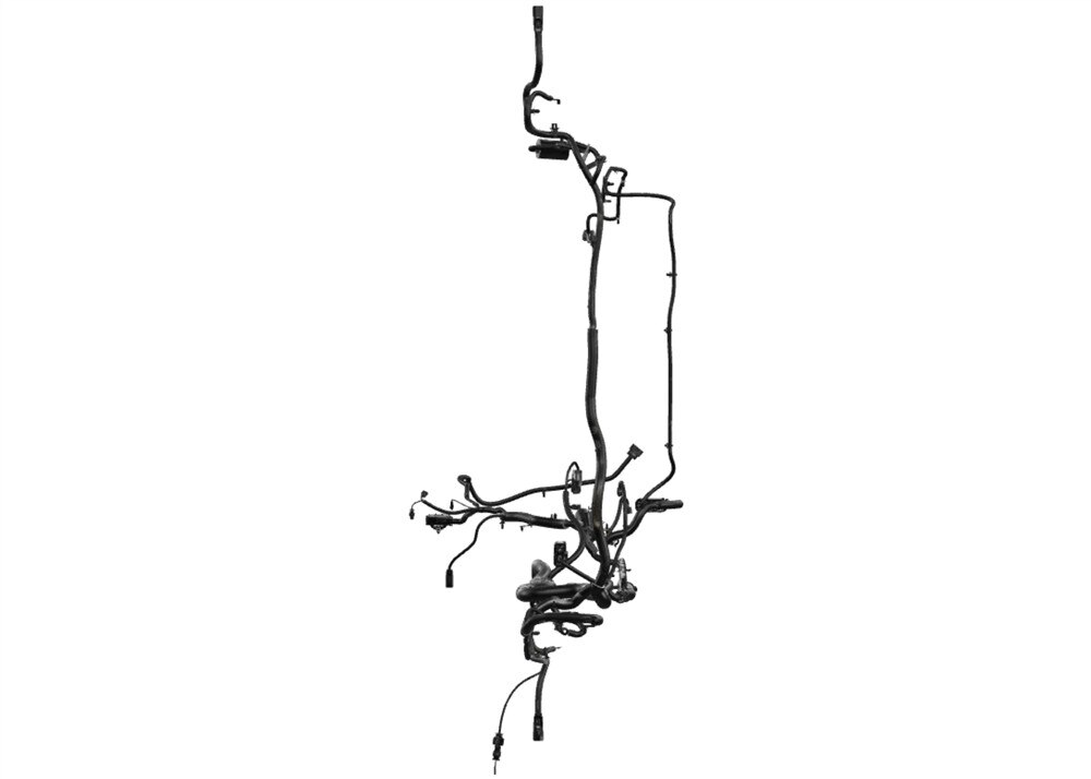 Alternate Image
