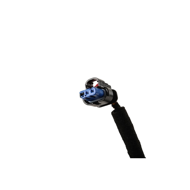 Alternate Image