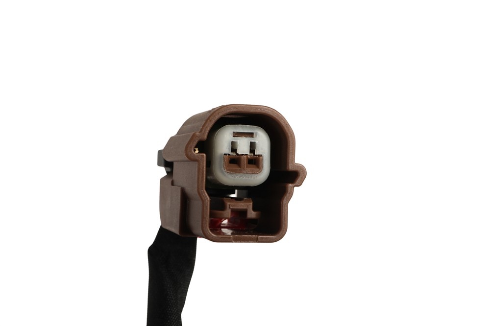 Alternate Image