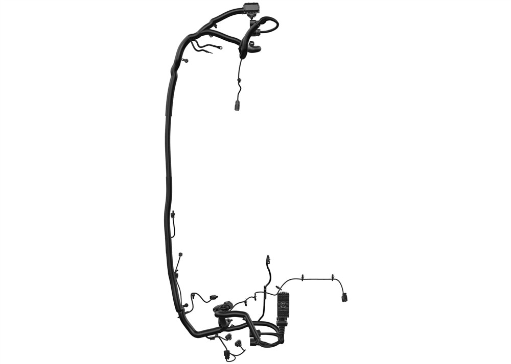 Alternate Image