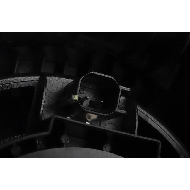 Alternate Image