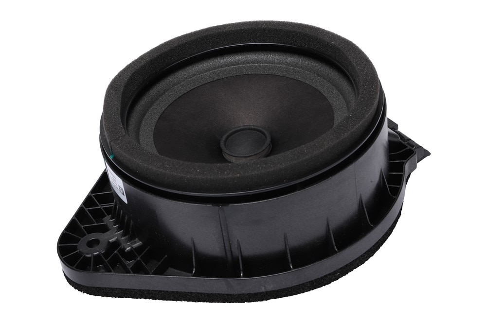 GM Genuine Parts Radio Rear Side Door Speaker