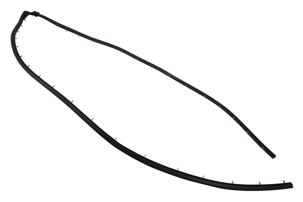 GM Genuine Parts Front Driver Side Door Weatherstrip