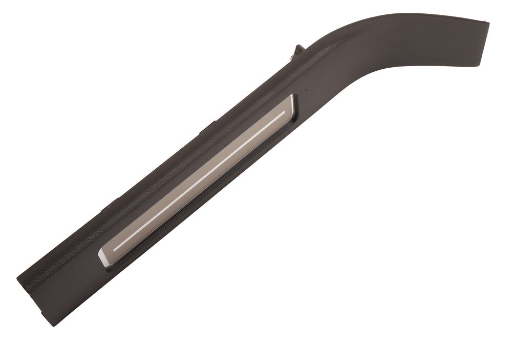 GM Genuine Parts Cocoa Rear Passenger Side Door Sill Garnish Molding