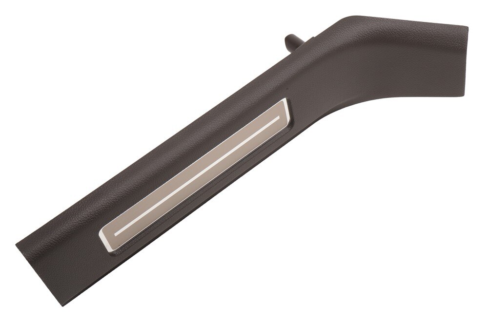 GM Genuine Parts Cocoa Rear Driver Side Door Sill Garnish Molding