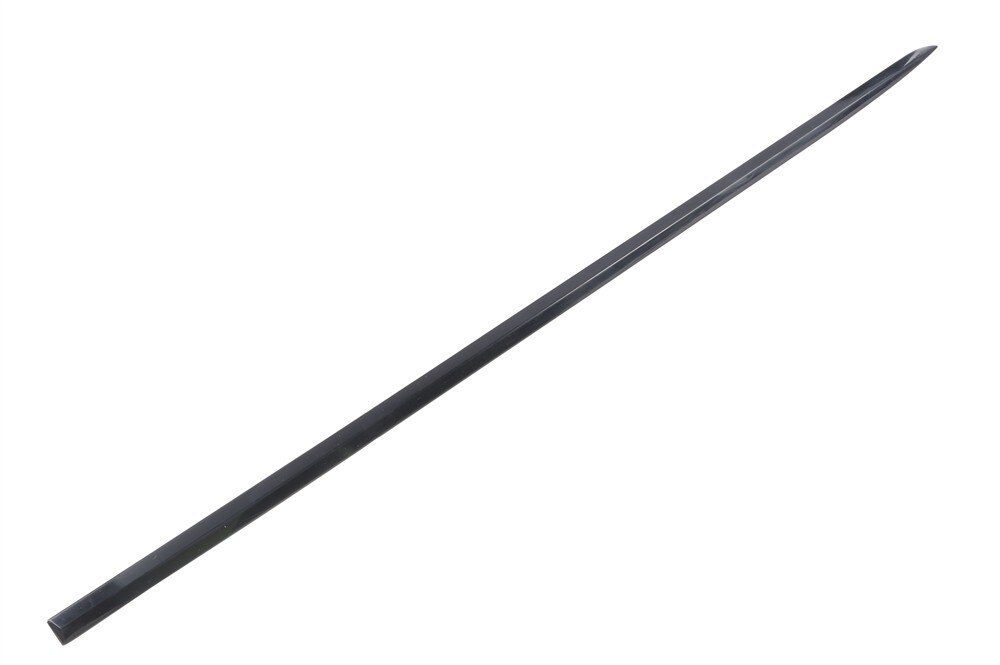 GM Genuine Parts Rear Passenger Side Door Molding
