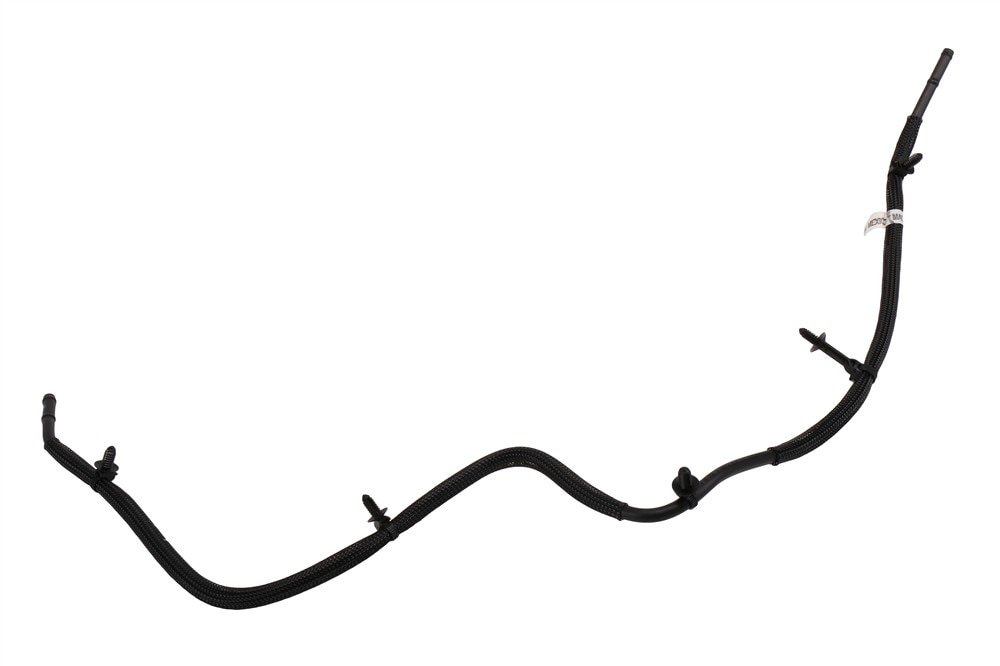 Alternate Image