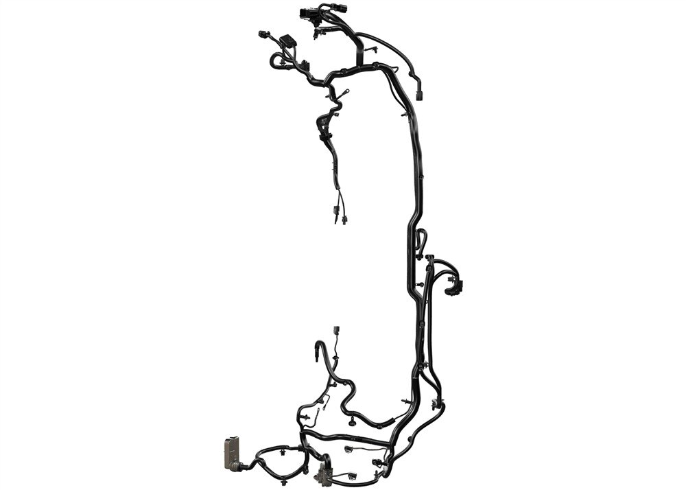 Alternate Image