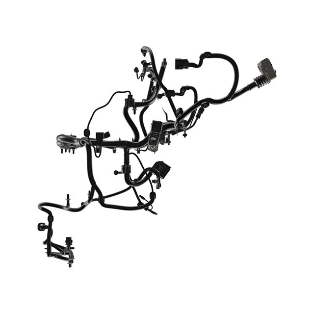 Alternate Image