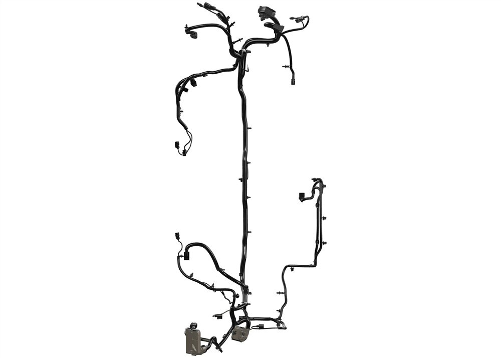Alternate Image