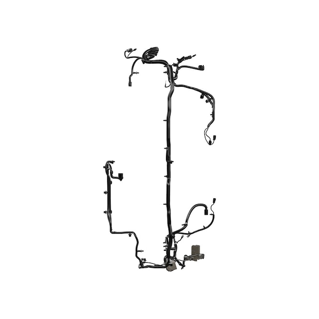 Alternate Image