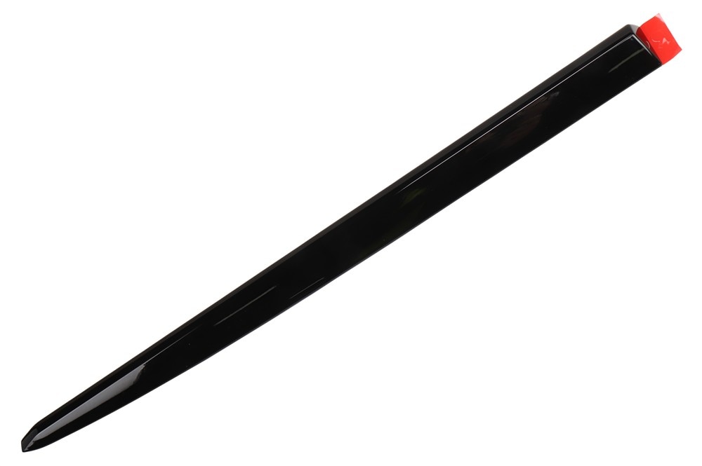GM Genuine Parts Black Rear Passenger Side Door Molding