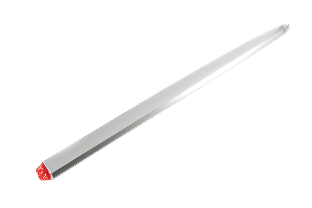 GM Genuine Parts Silver Rear Passenger Side Door Molding