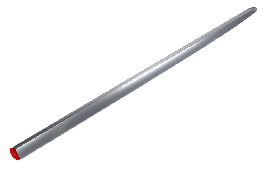 GM Genuine Parts Silver Rear Driver Side Door Molding