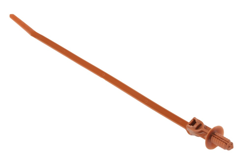 Alternate Image