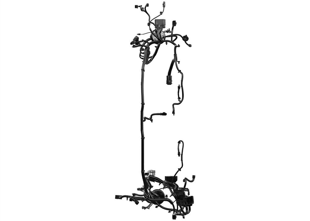 Alternate Image