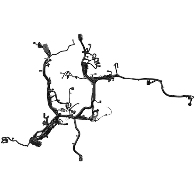 Alternate Image