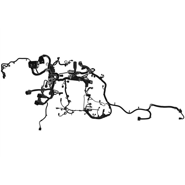 Alternate Image