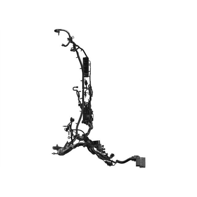 Alternate Image