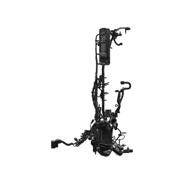 Alternate Image