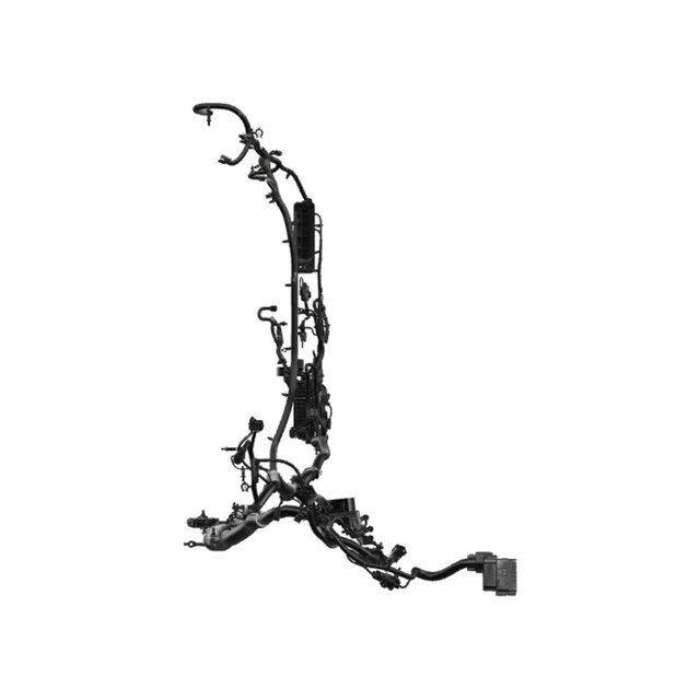 Alternate Image