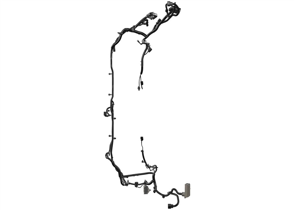 Alternate Image