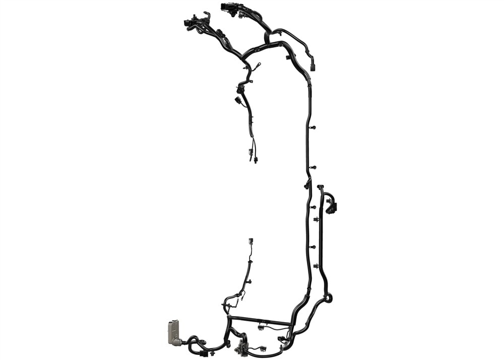 Alternate Image