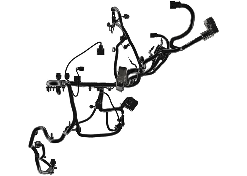 Alternate Image