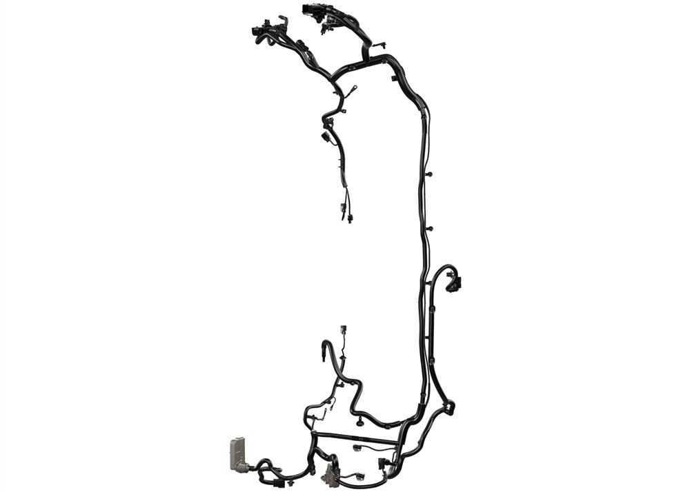 Alternate Image