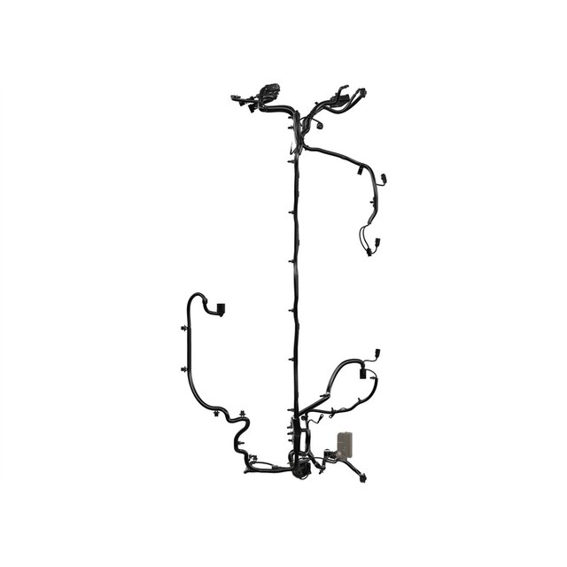 Alternate Image