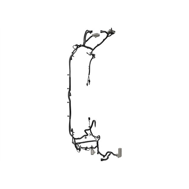 Alternate Image