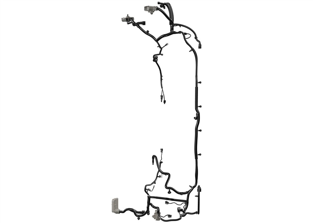 Alternate Image