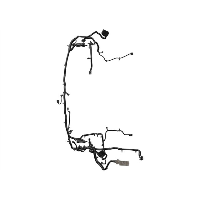 Alternate Image