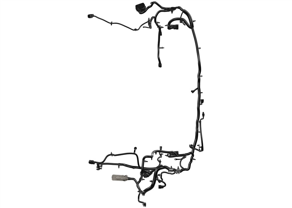 Alternate Image