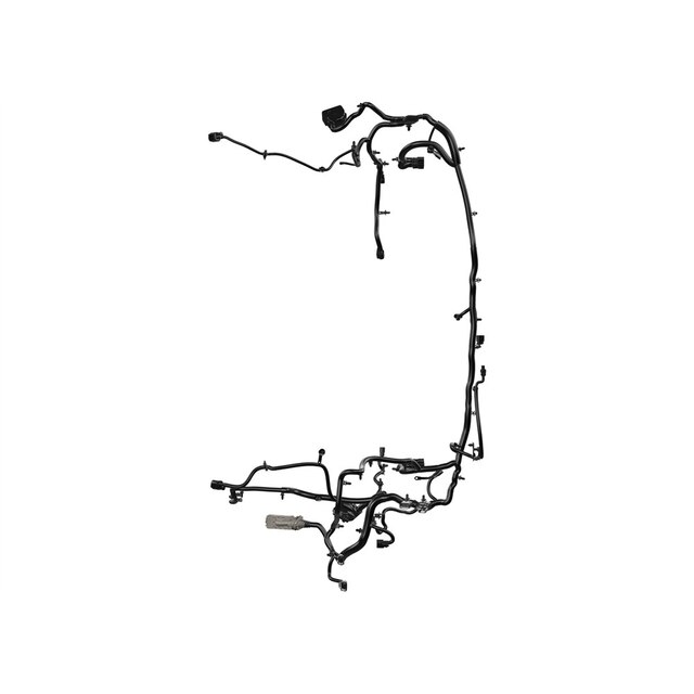 Alternate Image