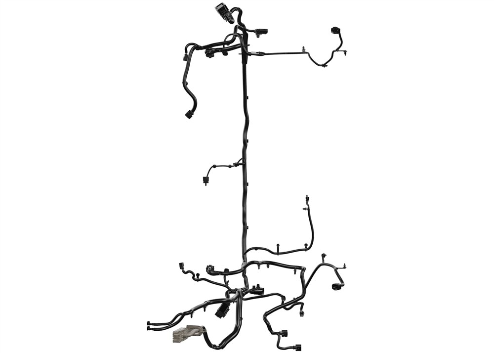 Alternate Image