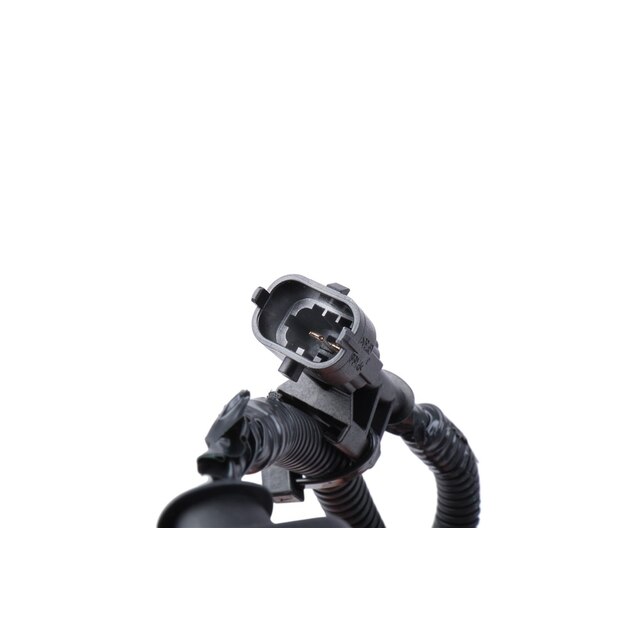 Alternate Image