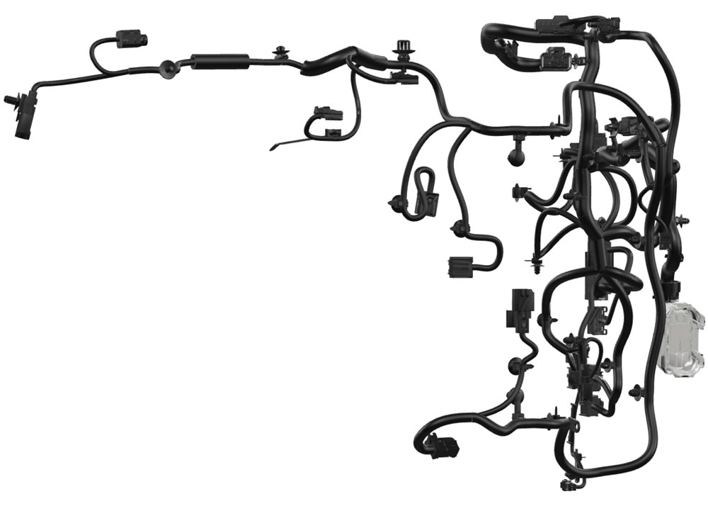 Alternate Image